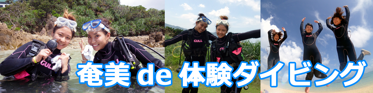 奄美大島で体験ダイビング