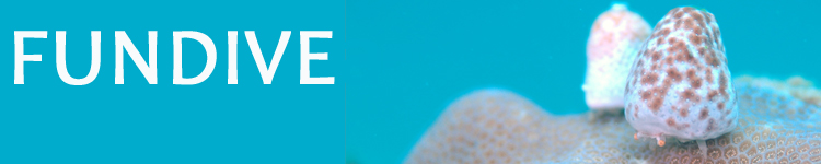 fundive yukinkoboushigani