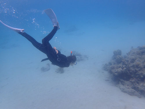 奄美大島シュノーケル