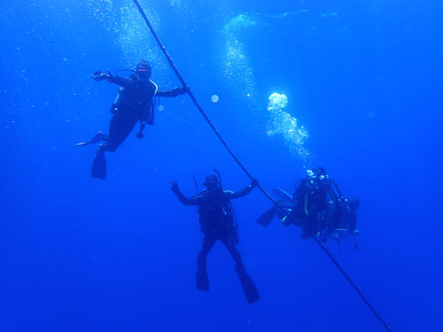 ゲストダイバーと先輩ショップ