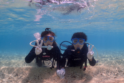 奄美大島海がめ体験ダイビング