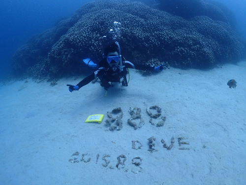 記念ダイブ