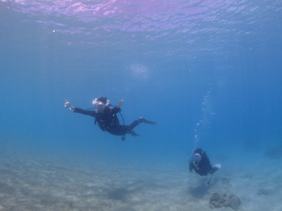 体験ダイビング