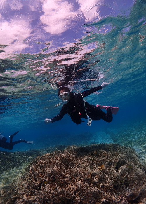奄美大島体験ダイビング