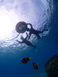 奄美大島スノーケリング