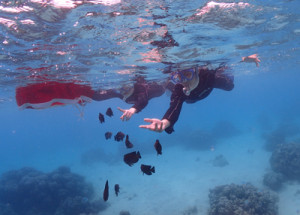 奄美大島スノーケリング