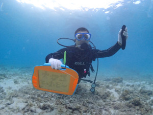 体験ダイビング