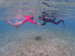 海がめシュノーケル