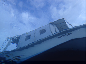 スピーシーズ号