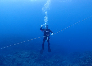 安全停止中のゲストさん
