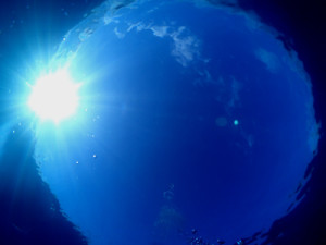 水中から見た空