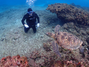 体験ダイビング