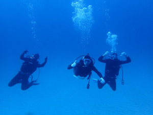 ノリノリゲスト３人衆