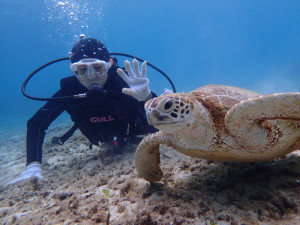 体験ダイビング