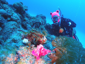 ピンクのカエルさん