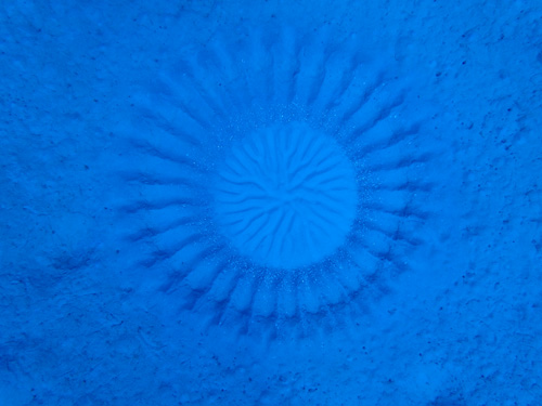 ミステリーサークル