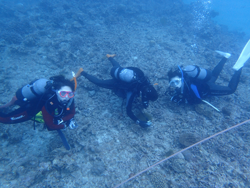 北海道からのゲストさん
