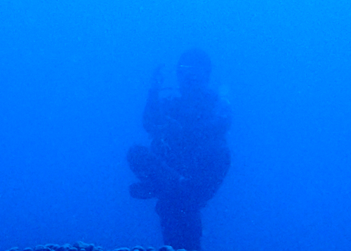 フサフサの大仏様