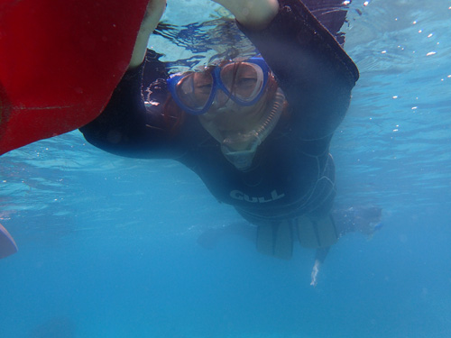 ウミガメスノーケル