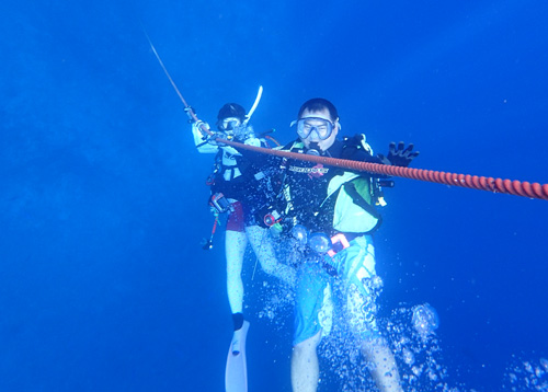 大物好きのゲストさん