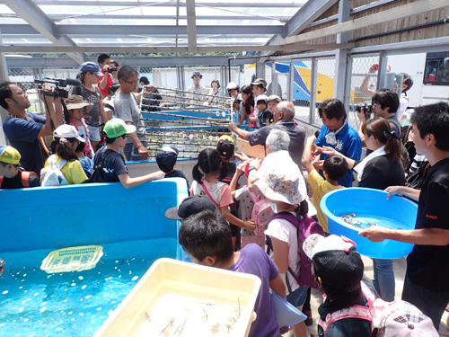 サンゴ移植の水槽