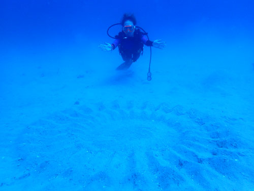 ミステリーサークルとゲストさん