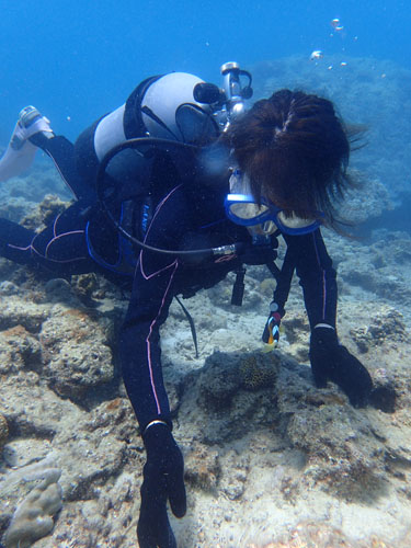 クマノと娘さん