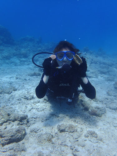 貝殻ゲット～！！