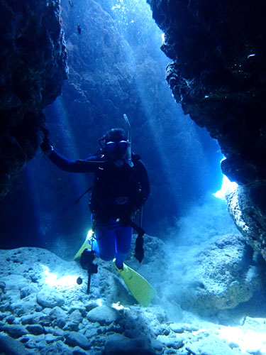 スポットライトとゲストさん