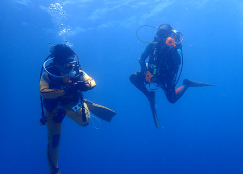陽気なゲストさん