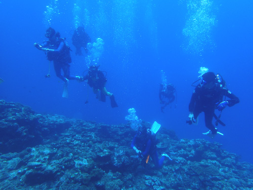 レインボーのみなさん