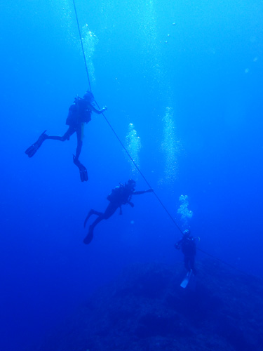 アッキーズファミリー