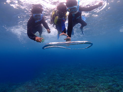 ボートシュノーケル