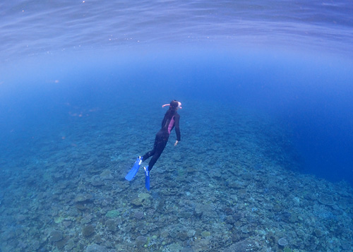 ボートシュノーケル