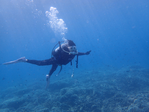 ボート体験ダイビング