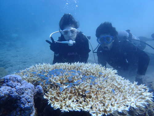 体験ダイビング