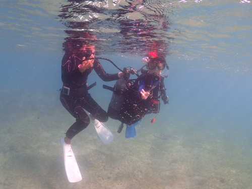 体験ダイビング