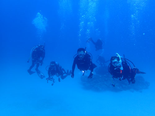 リピーターゲストさん