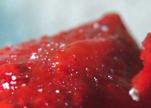 パロンシュリンプ