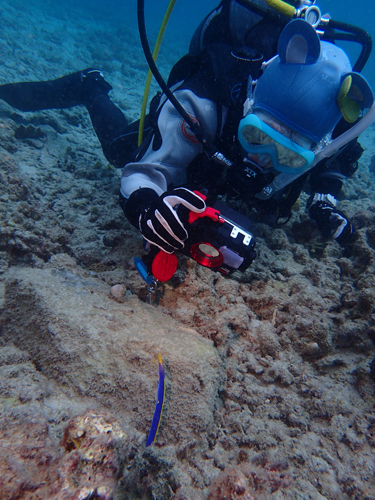 OLYMPUS DIGITAL CAMERA