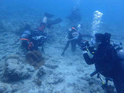 OLYMPUS DIGITAL CAMERA