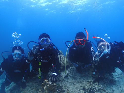 OLYMPUS DIGITAL CAMERA