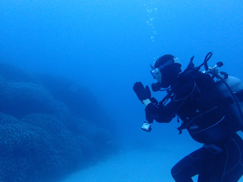 OLYMPUS DIGITAL CAMERA