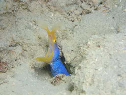 received_1171649992962913