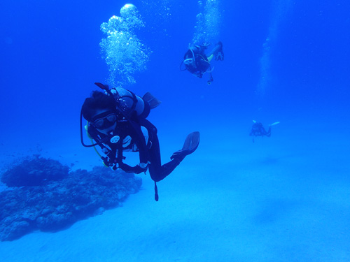 OLYMPUS DIGITAL CAMERA