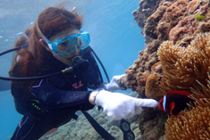 奄美体験ダイビングクマノミを見に行こう