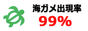 海がめに出会える確立は99％以上