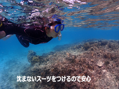 沈まないスーツで安心。ウミガメシュノーケル。