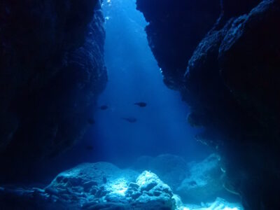 奄美ダイビング　カメラの不調で・・・。