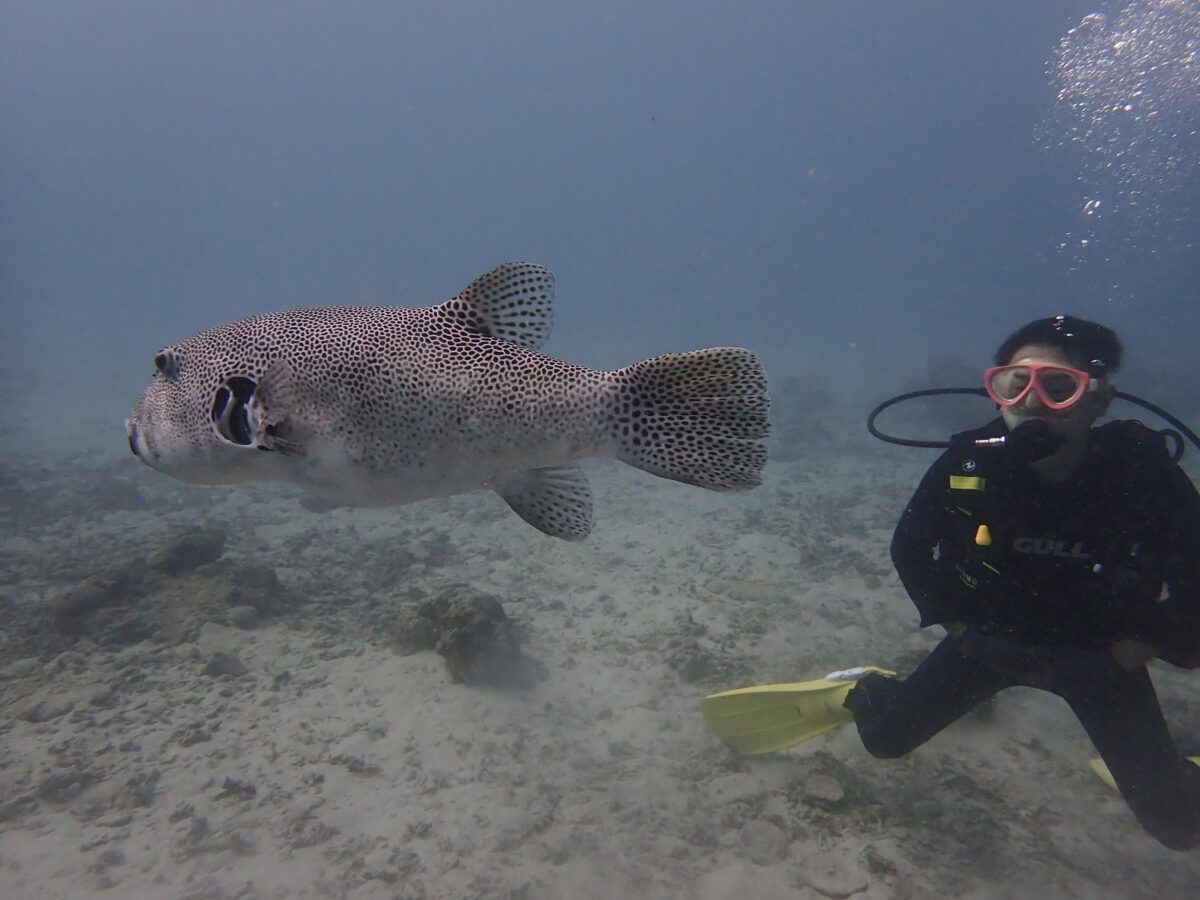 奄美大島ダイビング　リラックス君♪